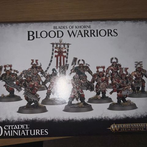 Warhammer Age of Sigmar Blood Warriors