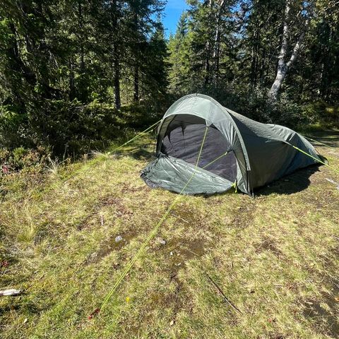 Dovrefjell - gapahuk