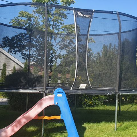 Oval Trampoline