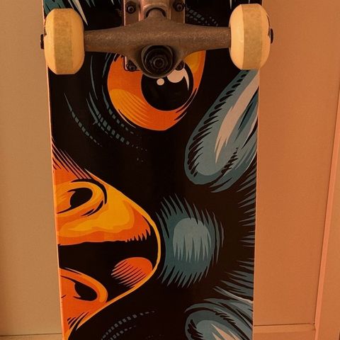 Tony Hawk skateboard for barn/beginner