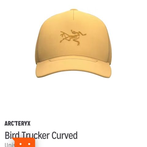 Arc’teryx caps - ny