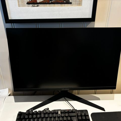 LG UltraGear 24GQ50F 165hz med Forsikring