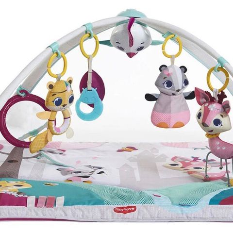 Tiny Love Princess babygym