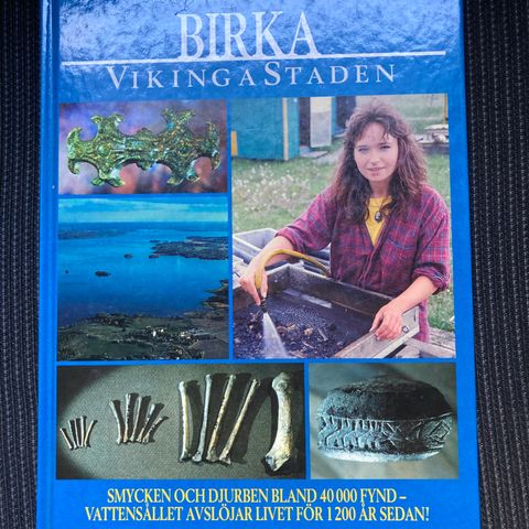 Bok: Birka vikingastaden vol 4