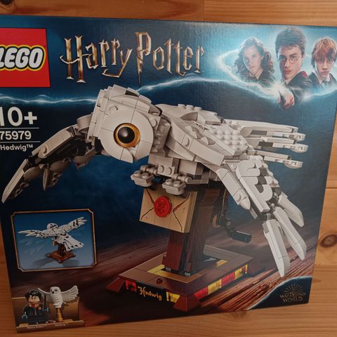 75979 Hedwig