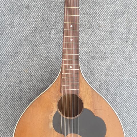 Cittern