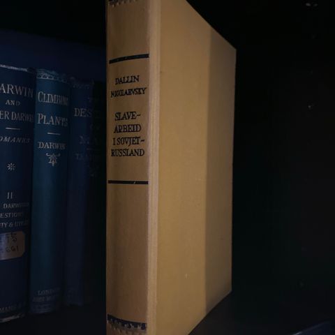 📚BORGE ANTIKVARIAT: «Slavearbeid i Sovjet-Russland» Dallin/Nicolaevsky