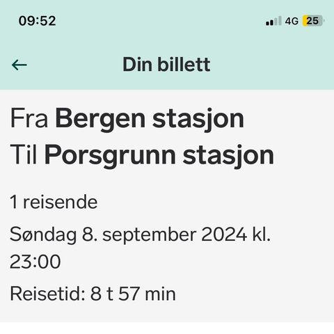 Togbillett til Porsgrunn, bytte på Drammen stasjon