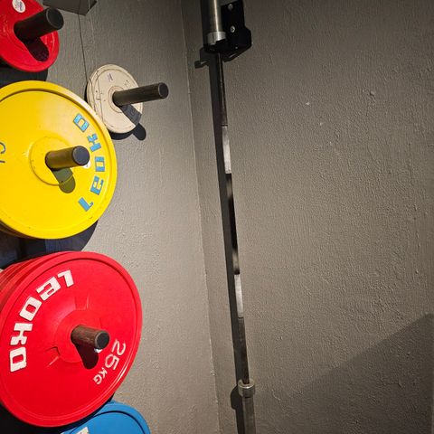 Rogue Ohio Deadlift bar