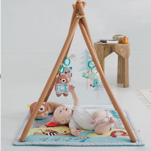 Skip Hop Babygym, Camping Cubs