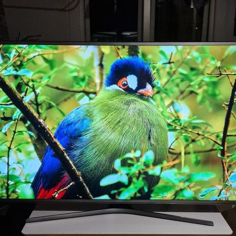 Samsung 55" 4K UHD