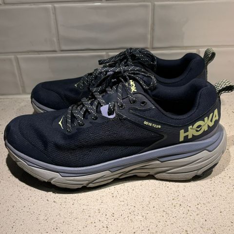 Hoka Gortex 38 2/3