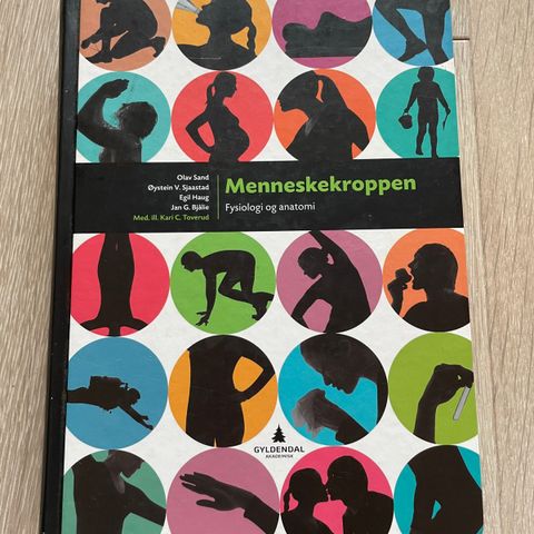 Menneskekroppen