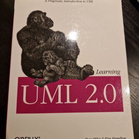 Learning UML 2.0