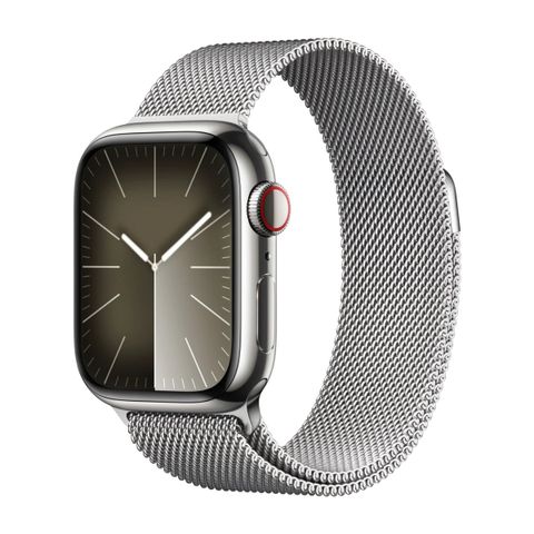 Apple Watch 6 steel 40mm silver