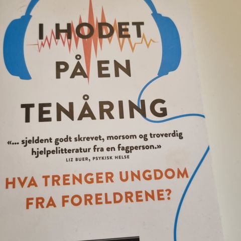 I hodet på en tenåring, av Lars Halse Kneppe