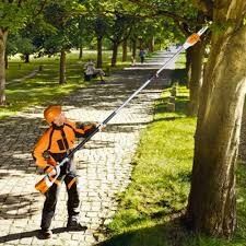 Stihl HTA 85 batteridrevet grensag leies ut