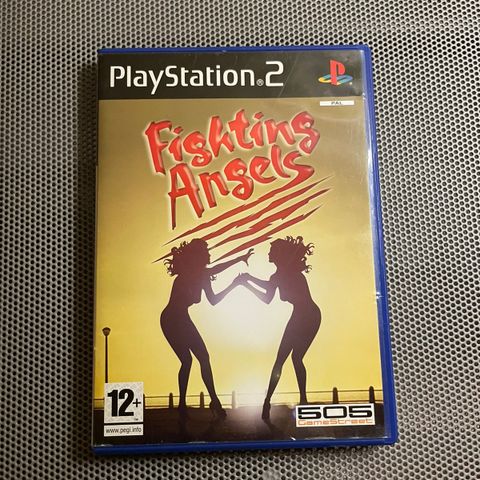 Fighting Angels PS2