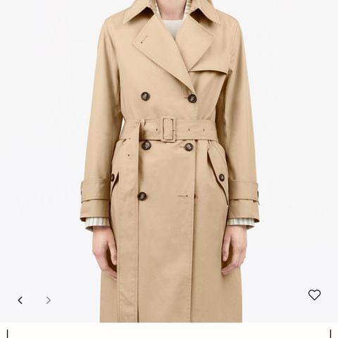 Tiger of Sweden Siskos trench coat