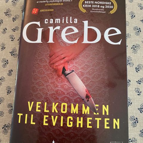 Velkommen til Evigheten av Camilla Grebe (Pocketbok)