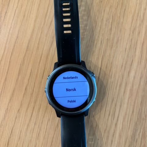 Garmin Fenix 6S Sapphire