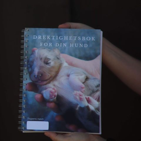 Drektighetsbok for din hund