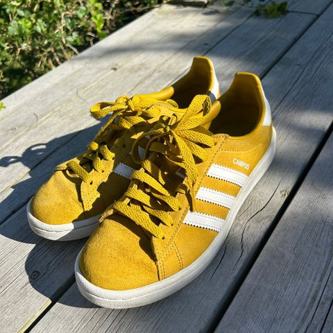 Adidas Campus str 37,5