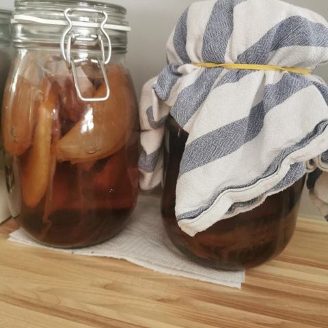 Kombucha scooby