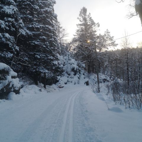 Smørefrie ski med stålkanter (turski/fjellski)