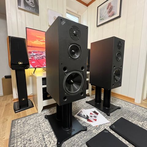 Acoustic Energy Model AE3 MK1 Ultra rear Audiophile HIGH END 160kg Speaker Set.