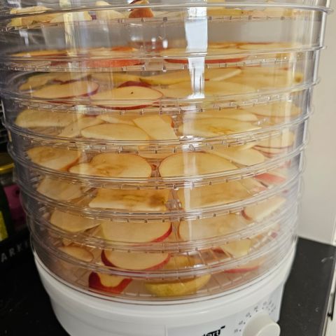 Dehydrator leies ut