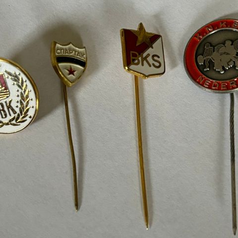 Pins idrett