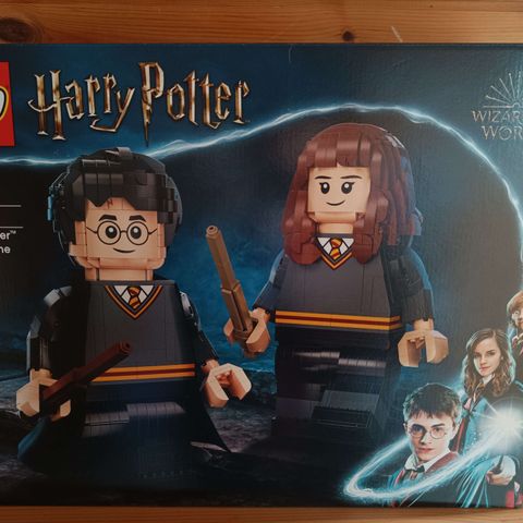 76393 Harry Potter & Hermione Granger FRI FRAKT