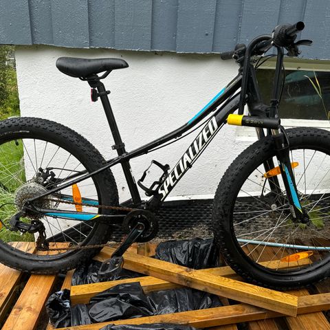 Specialized Riprock 24