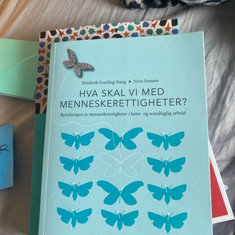 Hva skal vi med menneskerettigheter?