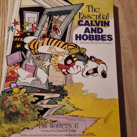 The essential Calvin and Hobbes