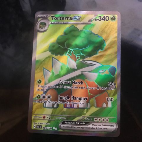 Pokemon Torterra ex kort