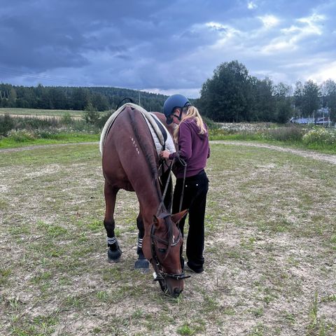 Søker for hest i Eidskog/kongsvinger område❤️