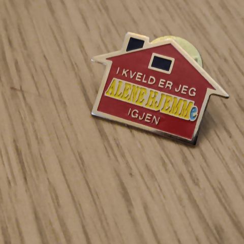 Pins. I kveld er jeg hjemme alene igjen.