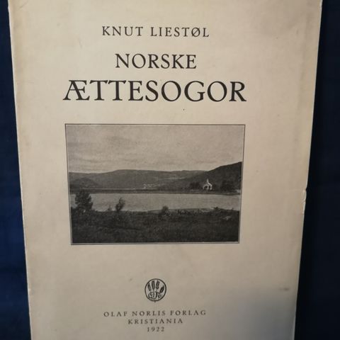 Norske ættesogor.