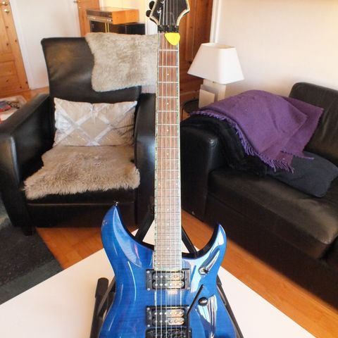 INDIE  FLOYD ROSE STRØKEN EL. GITAR.