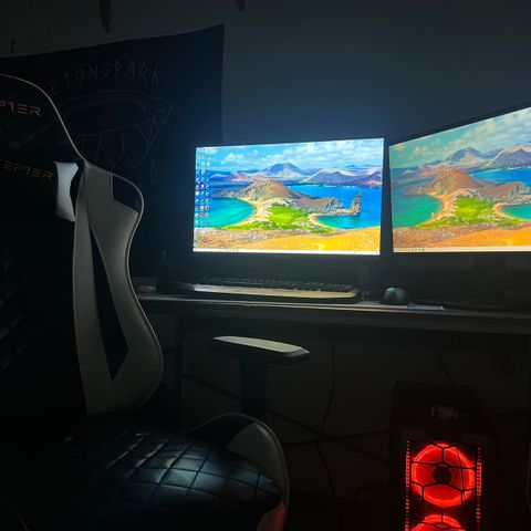 Gamingsetup selges rimelig!