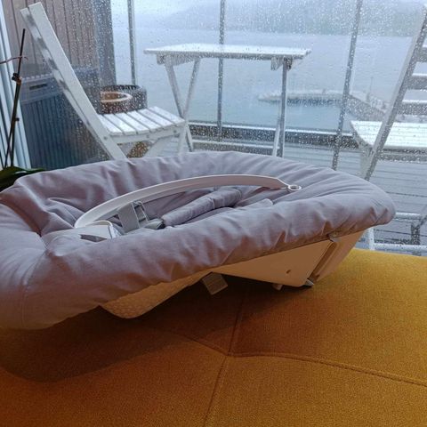 Stokke newborn trip trap seat