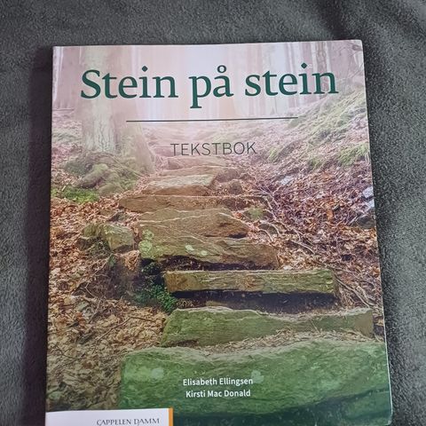 Stein på stein tekstbok