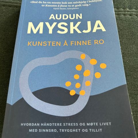 Kunsten å finne ro Audun Myskja, ulest