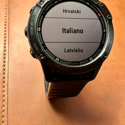 Garmin fenix 6 pro