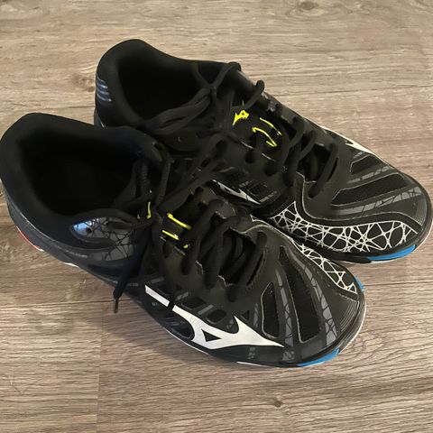 Håndball sko Mizuno str 40