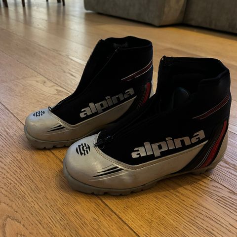 Alpina skisko