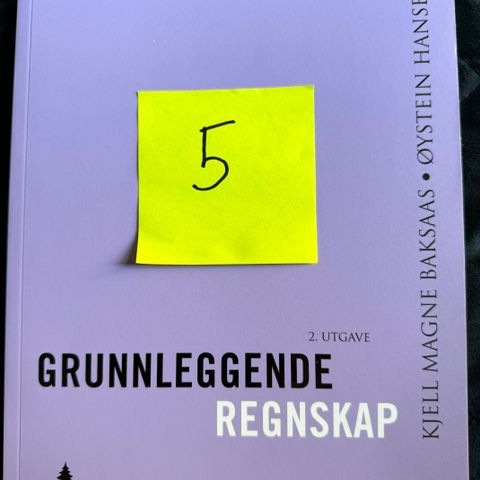 Grunnlegende regnskap 2. utgave