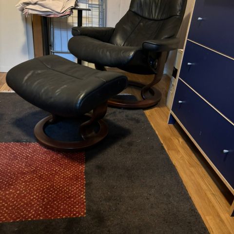 Ekornes stressless